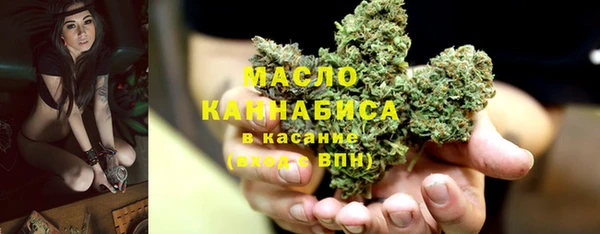 шишки Медногорск