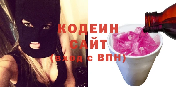 индика Михайловск