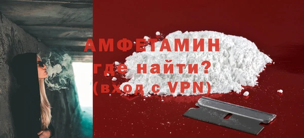индика Михайловск