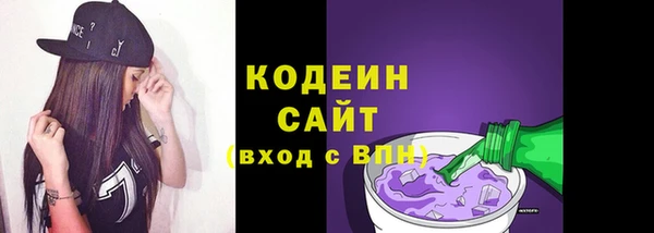 индика Михайловск