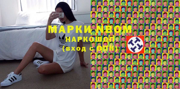 шишки Медногорск