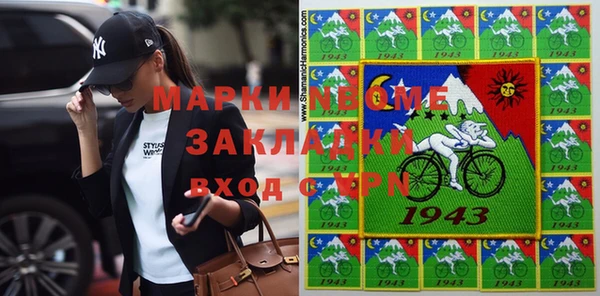 индика Михайловск