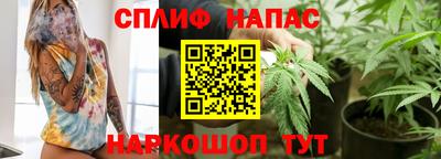 сатива Аргун