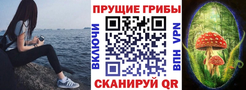 Псилоцибиновые грибы мухоморы  даркнет сайт  Ханты-Мансийск 