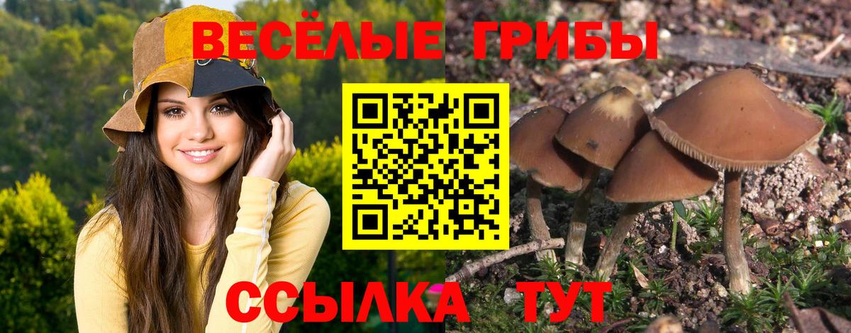 Галлюциногенные грибы Cubensis  купить наркотик  Псилоцибиновые грибы Cubensis  Ханты-Мансийск 